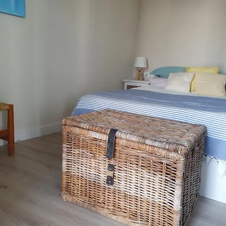 Oasis Apartment